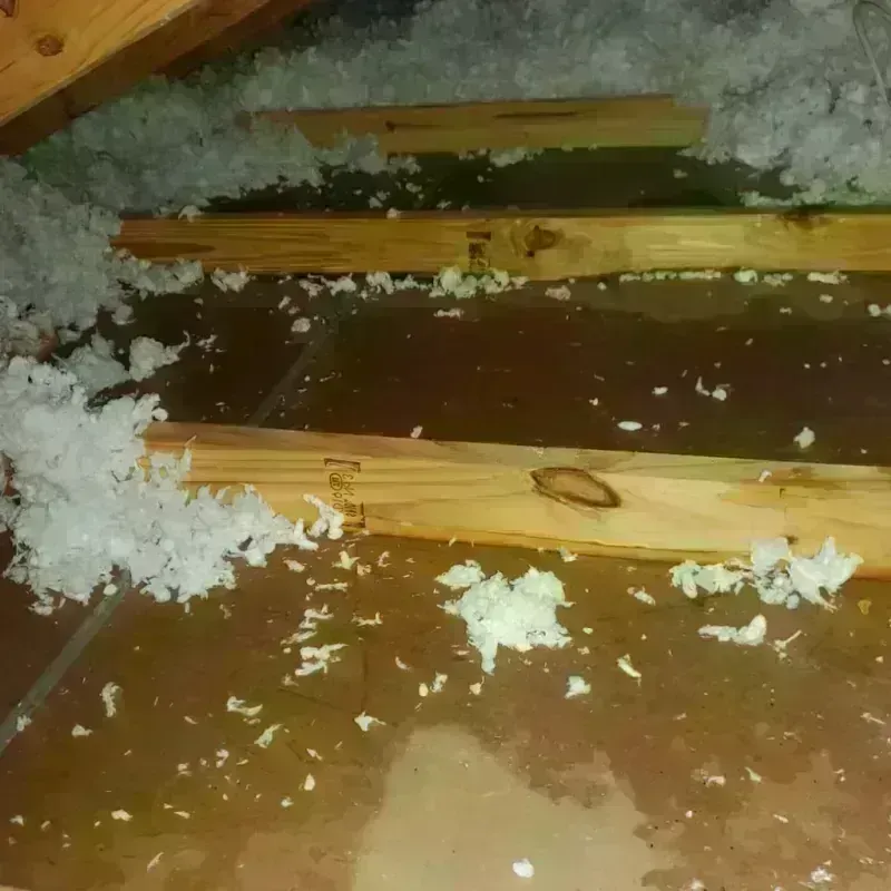 Attic Water Damage in Maggie Valley, NC